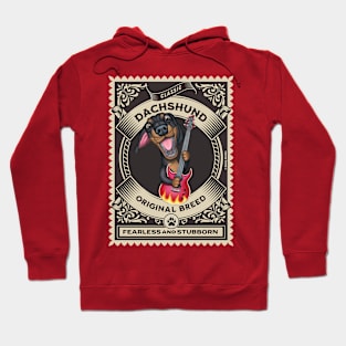 Funny dachshund doxie with guitar in golden circle Hoodie